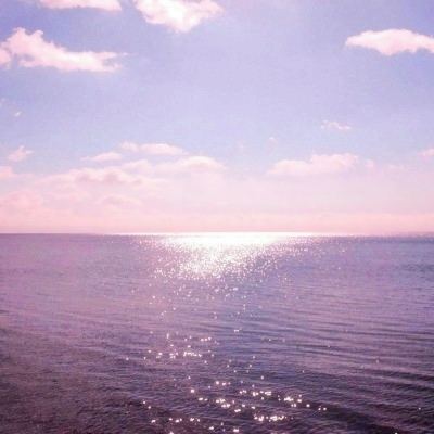 爱游戏·体育APP